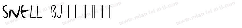 snell bj字体转换